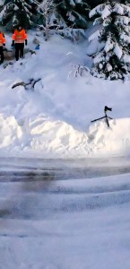 Hyundai Motorsport cover image