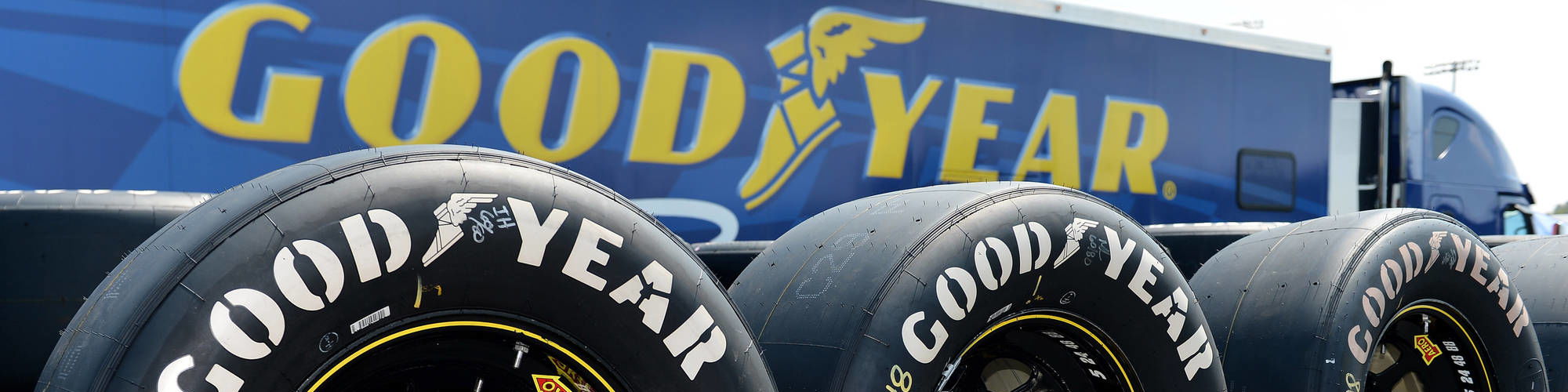 Goodyear cover image