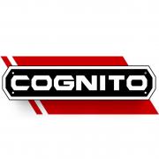 Cognito Motorsports logo image