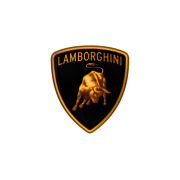 Lamborghini Motorsport logo image