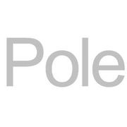 Pole Ltd.  logo image