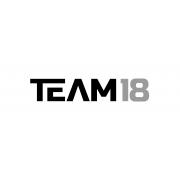 Team 18 logo image