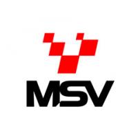 MotorSport Vision logo image